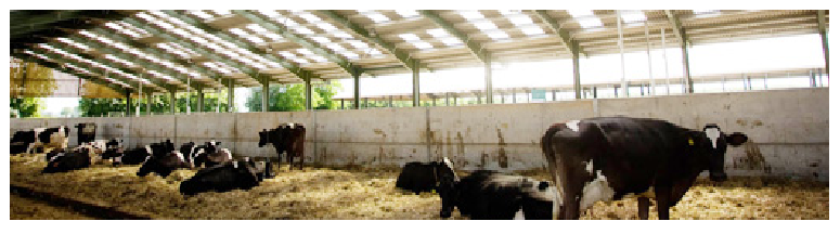 Agriculture