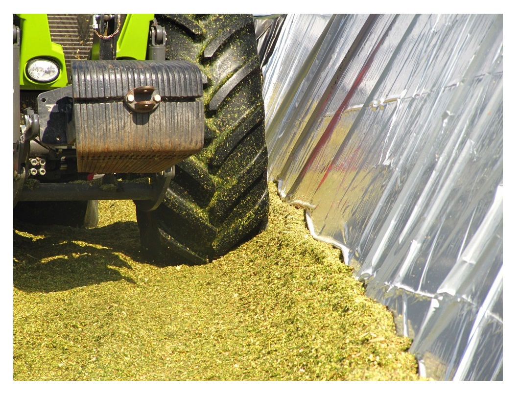 Silage Clamps