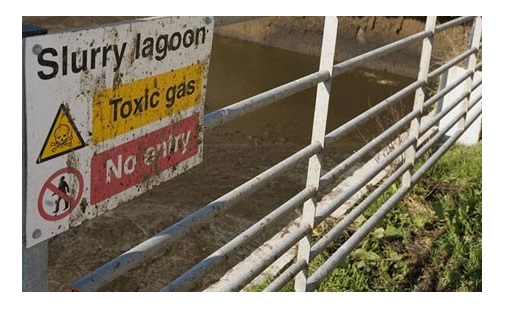 Slurry Stores