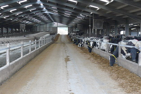 Agriculture